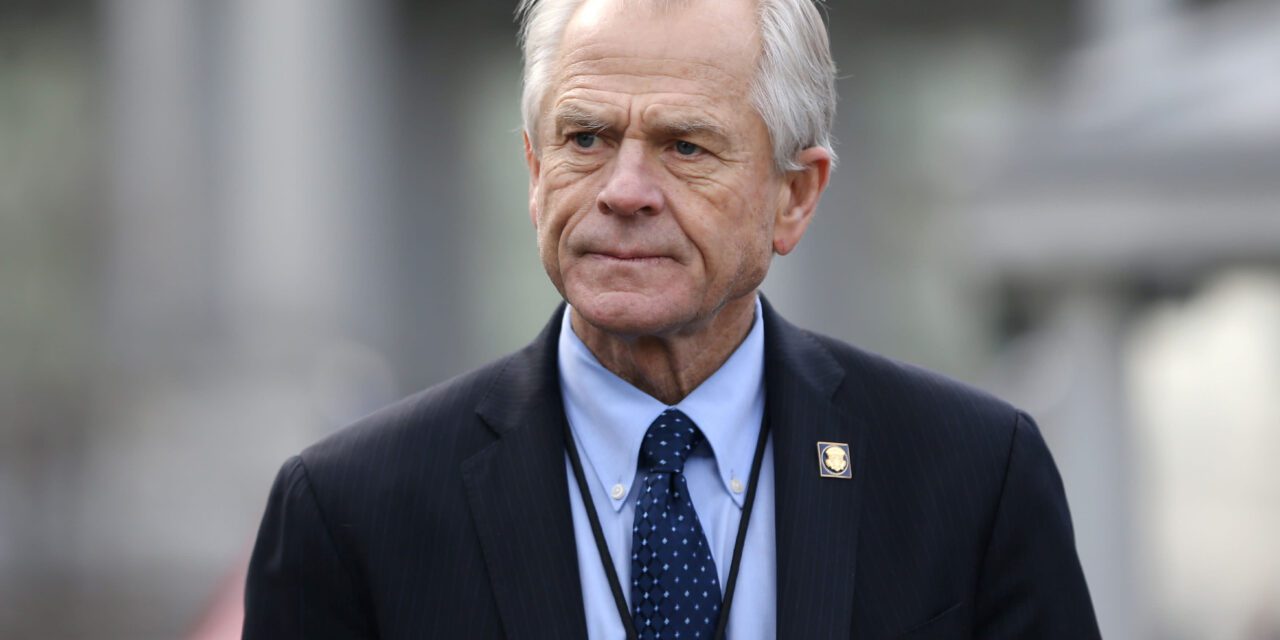 Peter Navarro: Economic Acuity, Policy Maker, Author, Covid-19 and Election Truther