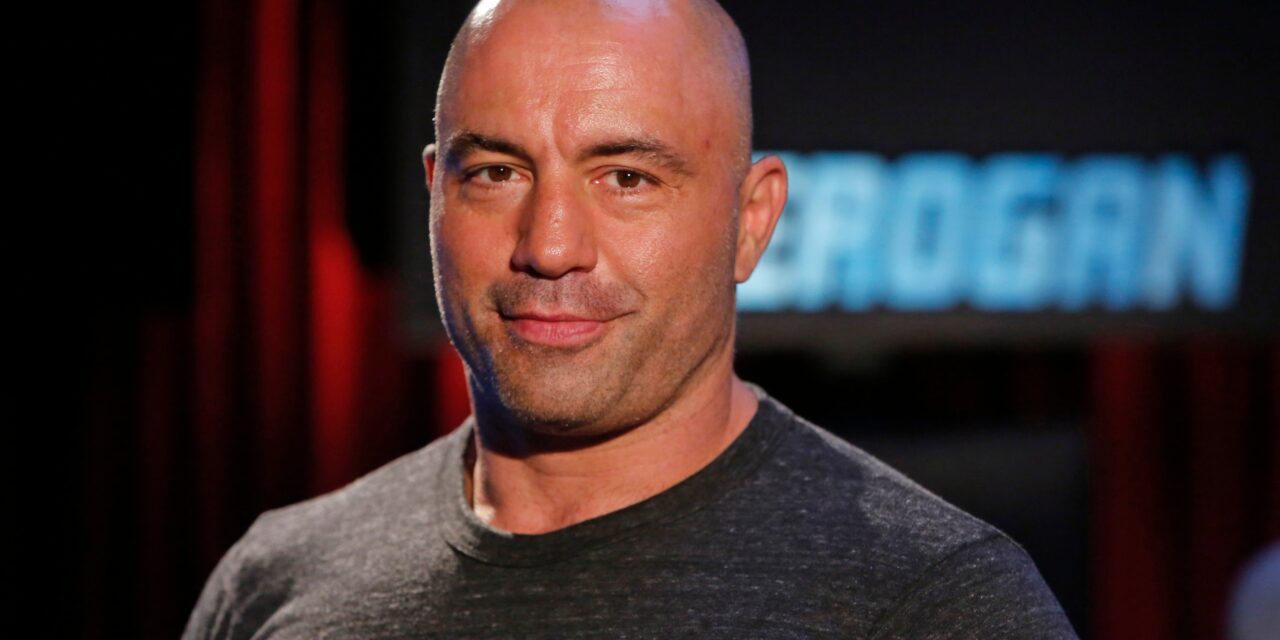 Joe Rogan: Stand up comic, Podcast King, MMA fanatic, Psychedelic Adventurer